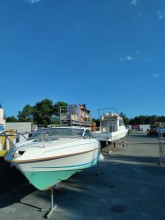 Flyer Viva 5.80 occasion